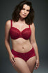 Rosa Faia Bobette High Waist Briefs